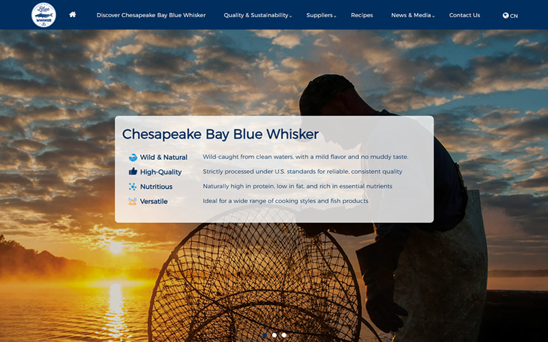 美湾蓝须鱼-海鲜外贸网站-新加坡网站